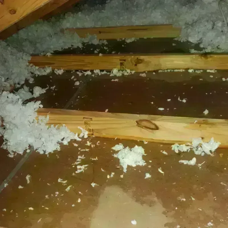 Attic Water Damage in Hillsboro, TX