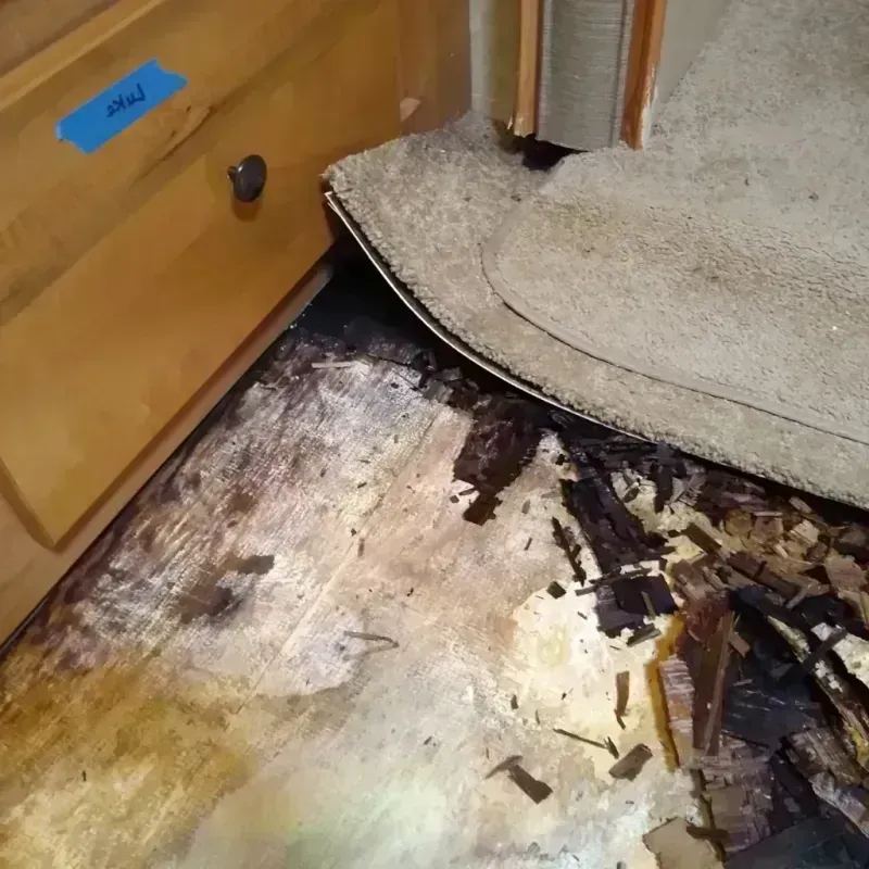 Wood Floor Water Damage in Hillsboro, TX